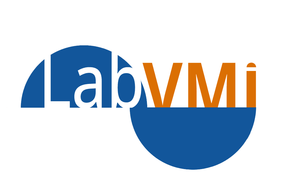 Logo with 'LabVM' text in blue and orange.
